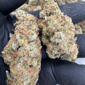 Where to buy Double OG Chem strain in Santa Fe NM?, What Double OG Chem strain is available near me in Santa Fe NM?, Best deals on Double OG Chem strain in Santa Fe NM?, Which Santa Fe dispensaries sell Double OG Chem strain?, Can I order Double OG Chem strain online in Santa Fe?, Where to buy Double OG Chem strain in Las Cruces NM?, What Double OG Chem strain is available near me in Las Cruces NM?, Best deals on Double OG Chem strain in Las Cruces NM?, Which Las Cruces dispensaries sell Double OG Chem strain?, Can I order Double OG Chem strain online in Las Cruces?, Where can I find Double OG Chem strain in Houston TX?, What forms of Double OG Chem strain are sold in Houston TX?, Best price for Double OG Chem strain Houston TX?, Which stores in Houston carry Double OG Chem strain?, Is it legal to buy Double OG Chem strain in Houston?, Where to purchase Double OG Chem strain in New Britain CT?, What types of Double OG Chem strain are stocked in New Britain CT?, Best place to buy Double OG Chem strain New Britain CT?, Which shops in New Britain sell Double OG Chem strain?, Is Double OG Chem strain delivered in New Britain?, Where can I get Double OG Chem strain in Huntington WV?, What Double OG Chem strain is currently available in Huntington WV?, Cheapest Double OG Chem strain in Huntington WV?, Which Huntington stores sell Double OG Chem strain?, How to buy Double OG Chem strain in Huntington online?, Where to buy Double OG Chem strain in Manchester CT?, What's the selection of Double OG Chem strain in Manchester CT?, Best local deals on Double OG Chem strain Manchester CT?, Which Manchester dispensaries have Double OG Chem strain in stock?, Do any shops deliver Double OG Chem strain in Manchester?, Where do I find Double OG Chem strain in Bloomington IN?, What is the range of Double OG Chem strain in Bloomington IN?, Best rated Double OG Chem strain in Bloomington IN?, Which Bloomington stores sell Double OG Chem strain?, Can you buy Double OG Chem strain online in Bloomington?, Where to find Double OG Chem strain in Cheyenne WY?, What types of Double OG Chem strain can I buy in Cheyenne WY?, Best value Double OG Chem strain in Cheyenne WY?, Which stores near me in Cheyenne carry Double OG Chem strain?, Can I get Double OG Chem strain delivered to Cheyenne?, Where to purchase Double OG Chem strain in Johnson City TN?, What Double OG Chem strain can I buy in Johnson City TN?, Best deals on Double OG Chem strain Johnson City TN?, Which Johnson City dispensaries stock Double OG Chem strain?, Can I order Double OG Chem strain online for delivery in Johnson City?, Where to buy Double OG Chem strain in Waterloo IA?, What is the best Double OG Chem strain available in Waterloo IA?, Best price on Double OG Chem strain Waterloo IA?, Which stores in Waterloo have Double OG Chem strain for sale?, How to find Double OG Chem strain in Waterloo?, Where can I buy Double OG Chem strain in Kyle TX?, What Double OG Chem strain is available near me in Kyle TX?, Best deals on Double OG Chem strain in Kyle TX?, Which Kyle dispensaries sell Double OG Chem strain?, Can I order Double OG Chem strain online in Kyle?