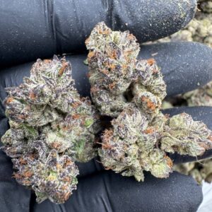 Where to buy German Cake strain in Santa Fe NM?, What German Cake strain is available near me in Santa Fe NM?, Best deals on German Cake strain in Santa Fe NM?, Which Santa Fe dispensaries sell German Cake strain?, Can I order German Cake strain online in Santa Fe?, Where to buy German Cake strain in Las Cruces NM?, What German Cake strain is available near me in Las Cruces NM?, Best deals on German Cake strain in Las Cruces NM?, Which Las Cruces dispensaries sell German Cake strain?, Can I order German Cake strain online in Las Cruces?, Where can I find German Cake strain in Houston TX?, What forms of German Cake strain are sold in Houston TX?, Best price for German Cake strain Houston TX?, Which stores in Houston carry German Cake strain?, Is it legal to buy German Cake strain in Houston?, Where to purchase German Cake strain in New Britain CT?, What types of German Cake strain are stocked in New Britain CT?, Best place to buy German Cake strain New Britain CT?, Which shops in New Britain sell German Cake strain?, Is German Cake strain delivered in New Britain?, Where can I get German Cake strain in Huntington WV?, What German Cake strain is currently available in Huntington WV?, Cheapest German Cake strain in Huntington WV?, Which Huntington stores sell German Cake strain?, How to buy German Cake strain in Huntington online?, Where to buy German Cake strain in Manchester CT?, What's the selection of German Cake strain in Manchester CT?, Best local deals on German Cake strain Manchester CT?, Which Manchester dispensaries have German Cake strain in stock?, Do any shops deliver German Cake strain in Manchester?, Where do I find German Cake strain in Bloomington IN?, What is the range of German Cake strain in Bloomington IN?, Best rated German Cake strain in Bloomington IN?, Which Bloomington stores sell German Cake strain?, Can you buy German Cake strain online in Bloomington?, Where to find German Cake strain in Cheyenne WY?, What types of German Cake strain can I buy in Cheyenne WY?, Best value German Cake strain in Cheyenne WY?, Which stores near me in Cheyenne carry German Cake strain?, Can I get German Cake strain delivered to Cheyenne?, Where to purchase German Cake strain in Johnson City TN?, What German Cake strain can I buy in Johnson City TN?, Best deals on German Cake strain Johnson City TN?, Which Johnson City dispensaries stock German Cake strain?, Can I order German Cake strain online for delivery in Johnson City?, Where to buy German Cake strain in Waterloo IA?, What is the best German Cake strain available in Waterloo IA?, Best price on German Cake strain Waterloo IA?, Which stores in Waterloo have German Cake strain for sale?, How to find German Cake strain in Waterloo?, Where can I buy German Cake strain in Kyle TX?, What German Cake strain is available near me in Kyle TX?, Best deals on German Cake strain in Kyle TX?, Which Kyle dispensaries sell German Cake strain?, Can I order German Cake strain online in Kyle?