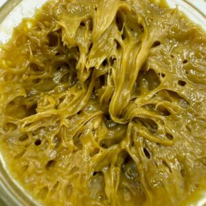 where to buy Rosin Santa Fe, best Rosin Las Cruces, Rosin near me Houston, what is Rosin New Britain, how much does Rosin cost Huntington, where can I find Rosin Manchester, is Rosin legal Bloomington, Rosin for sale Cheyenne, who sells Rosin Johnson City, is Rosin safe Waterloo, what's in Rosin Kyle, how to make Rosin Lincoln, can I buy Rosin online Chicago, Rosin delivery New York, where to find cheap Rosin Phoenix, best Rosin deals Philadelphia, how much is Rosin Las Vegas, Rosin prices Albuquerque, what are the effects of Rosin Buffalo, Rosin Santa Fe NM, best Rosin Las Cruces NM, Rosin near me Houston TX, what is Rosin New Britain CT, how to dab Rosin Huntington WV, who makes Rosin Manchester NH, is it legal to buy Rosin Bloomington IN, Rosin online Cheyenne WY, who sells legal Rosin Johnson City TN, is Rosin good Waterloo IA, what is live Rosin Kyle TX, how strong is Rosin Lincoln NE, can you get Rosin delivered Chicago IL, Rosin legal states New York NY, where can I buy Rosin Phoenix AZ, best Rosin brand Philadelphia PA, Rosin cost Las Vegas NV, where to buy Rosin Albuquerque NM, is Rosin worth it Buffalo NY, Rosin review Santa Fe NM, Rosin for sale Las Cruces NM, Rosin online Houston TX, effects of Rosin New Britain CT, is Rosin potent Huntington WV, is Rosin addictive Manchester NH, is Rosin expensive Bloomington IN, Rosin prices near me Cheyenne WY, Rosin discount Johnson City TN, Rosin flavors Waterloo IA, Rosin dosage Kyle TX, Rosin quality Lincoln NE