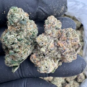 Where to buy Phantom Runtz strain in Santa Fe NM?, What Phantom Runtz strain is available near me in Santa Fe NM?, Best deals on Phantom Runtz strain in Santa Fe NM?, Which Santa Fe dispensaries sell Phantom Runtz strain?, Can I order Phantom Runtz strain online in Santa Fe?, Where to buy Phantom Runtz strain in Las Cruces NM?, What Phantom Runtz strain is available near me in Las Cruces NM?, Best deals on Phantom Runtz strain in Las Cruces NM?, Which Las Cruces dispensaries sell Phantom Runtz strain?, Can I order Phantom Runtz strain online in Las Cruces?, Where can I find Phantom Runtz strain in Houston TX?, What forms of Phantom Runtz strain are sold in Houston TX?, Best price for Phantom Runtz strain Houston TX?, Which stores in Houston carry Phantom Runtz strain?, Is it legal to buy Phantom Runtz strain in Houston?, Where to purchase Phantom Runtz strain in New Britain CT?, What types of Phantom Runtz strain are stocked in New Britain CT?, Best place to buy Phantom Runtz strain New Britain CT?, Which shops in New Britain sell Phantom Runtz strain?, Is Phantom Runtz strain delivered in New Britain?, Where can I get Phantom Runtz strain in Huntington WV?, What Phantom Runtz strain is currently available in Huntington WV?, Cheapest Phantom Runtz strain in Huntington WV?, Which Huntington stores sell Phantom Runtz strain?, How to buy Phantom Runtz strain in Huntington online?, Where to buy Phantom Runtz strain in Manchester CT?, What's the selection of Phantom Runtz strain in Manchester CT?, Best local deals on Phantom Runtz strain Manchester CT?, Which Manchester dispensaries have Phantom Runtz strain in stock?, Do any shops deliver Phantom Runtz strain in Manchester?, Where do I find Phantom Runtz strain in Bloomington IN?, What is the range of Phantom Runtz strain in Bloomington IN?, Best rated Phantom Runtz strain in Bloomington IN?, Which Bloomington stores sell Phantom Runtz strain?, Can you buy Phantom Runtz strain online in Bloomington?, Where to find Phantom Runtz strain in Cheyenne WY?, What types of Phantom Runtz strain can I buy in Cheyenne WY?, Best value Phantom Runtz strain in Cheyenne WY?, Which stores near me in Cheyenne carry Phantom Runtz strain?, Can I get Phantom Runtz strain delivered to Cheyenne?, Where to purchase Phantom Runtz strain in Johnson City TN?, What Phantom Runtz strain can I buy in Johnson City TN?, Best deals on Phantom Runtz strain Johnson City TN?, Which Johnson City dispensaries stock Phantom Runtz strain?, Can I order Phantom Runtz strain online for delivery in Johnson City?, Where to buy Phantom Runtz strain in Waterloo IA?, What is the best Phantom Runtz strain available in Waterloo IA?, Best price on Phantom Runtz strain Waterloo IA?, Which stores in Waterloo have Phantom Runtz strain for sale?, How to find Phantom Runtz strain in Waterloo?, Where can I buy Phantom Runtz strain in Kyle TX?, What Phantom Runtz strain is available near me in Kyle TX?, Best deals on Phantom Runtz strain in Kyle TX?, Which Kyle dispensaries sell Phantom Runtz strain?, Can I order Phantom Runtz strain online in Kyle?