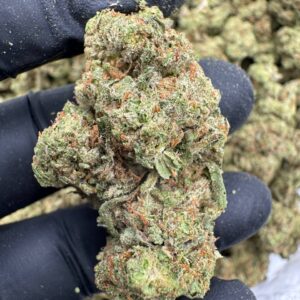 Where to buy Royal Mobidick strain in Santa Fe NM?, What Royal Mobidick strain is available near me in Santa Fe NM?, Best deals on Royal Mobidick strain in Santa Fe NM?, Which Santa Fe dispensaries sell Royal Mobidick strain?, Can I order Royal Mobidick strain online in Santa Fe?, Where to buy Royal Mobidick strain in Las Cruces NM?, What Royal Mobidick strain is available near me in Las Cruces NM?, Best deals on Royal Mobidick strain in Las Cruces NM?, Which Las Cruces dispensaries sell Royal Mobidick strain?, Can I order Royal Mobidick strain online in Las Cruces?, Where can I find Royal Mobidick strain in Houston TX?, What forms of Royal Mobidick strain are sold in Houston TX?, Best price for Royal Mobidick strain Houston TX?, Which stores in Houston carry Royal Mobidick strain?, Is it legal to buy Royal Mobidick strain in Houston?, Where to purchase Royal Mobidick strain in New Britain CT?, What types of Royal Mobidick strain are stocked in New Britain CT?, Best place to buy Royal Mobidick strain New Britain CT?, Which shops in New Britain sell Royal Mobidick strain?, Is Royal Mobidick strain delivered in New Britain?, Where can I get Royal Mobidick strain in Huntington WV?, What Royal Mobidick strain is currently available in Huntington WV?, Cheapest Royal Mobidick strain in Huntington WV?, Which Huntington stores sell Royal Mobidick strain?, How to buy Royal Mobidick strain in Huntington online?, Where to buy Royal Mobidick strain in Manchester CT?, What's the selection of Royal Mobidick strain in Manchester CT?, Best local deals on Royal Mobidick strain Manchester CT?, Which Manchester dispensaries have Royal Mobidick strain in stock?, Do any shops deliver Royal Mobidick strain in Manchester?, Where do I find Royal Mobidick strain in Bloomington IN?, What is the range of Royal Mobidick strain in Bloomington IN?, Best rated Royal Mobidick strain in Bloomington IN?, Which Bloomington stores sell Royal Mobidick strain?, Can you buy Royal Mobidick strain online in Bloomington?, Where to find Royal Mobidick strain in Cheyenne WY?, What types of Royal Mobidick strain can I buy in Cheyenne WY?, Best value Royal Mobidick strain in Cheyenne WY?, Which stores near me in Cheyenne carry Royal Mobidick strain?, Can I get Royal Mobidick strain delivered to Cheyenne?, Where to purchase Royal Mobidick strain in Johnson City TN?, What Royal Mobidick strain can I buy in Johnson City TN?, Best deals on Royal Mobidick strain Johnson City TN?, Which Johnson City dispensaries stock Royal Mobidick strain?, Can I order Royal Mobidick strain online for delivery in Johnson City?, Where to buy Royal Mobidick strain in Waterloo IA?, What is the best Royal Mobidick strain available in Waterloo IA?, Best price on Royal Mobidick strain Waterloo IA?, Which stores in Waterloo have Royal Mobidick strain for sale?, How to find Royal Mobidick strain in Waterloo?, Where can I buy Royal Mobidick strain in Kyle TX?, What Royal Mobidick strain is available near me in Kyle TX?, Best deals on Royal Mobidick strain in Kyle TX?, Which Kyle dispensaries sell Royal Mobidick strain?, Can I order Royal Mobidick strain online in Kyle?