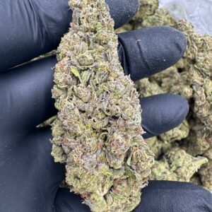 Where to buy White Runtz strain in Santa Fe NM?, What White Runtz strain is available near me in Santa Fe NM?, Best deals on White Runtz strain in Santa Fe NM?, Which Santa Fe dispensaries sell White Runtz strain?, Can I order White Runtz strain online in Santa Fe?, Where to buy White Runtz strain in Las Cruces NM?, What White Runtz strain is available near me in Las Cruces NM?, Best deals on White Runtz strain in Las Cruces NM?, Which Las Cruces dispensaries sell White Runtz strain?, Can I order White Runtz strain online in Las Cruces?, Where can I find White Runtz strain in Houston TX?, What forms of White Runtz strain are sold in Houston TX?, Best price for White Runtz strain Houston TX?, Which stores in Houston carry White Runtz strain?, Is it legal to buy White Runtz strain in Houston?, Where to purchase White Runtz strain in New Britain CT?, What types of White Runtz strain are stocked in New Britain CT?, Best place to buy White Runtz strain New Britain CT?, Which shops in New Britain sell White Runtz strain?, Is White Runtz strain delivered in New Britain?, Where can I get White Runtz strain in Huntington WV?, What White Runtz strain is currently available in Huntington WV?, Cheapest White Runtz strain in Huntington WV?, Which Huntington stores sell White Runtz strain?, How to buy White Runtz strain in Huntington online?, Where to buy White Runtz strain in Manchester CT?, What's the selection of White Runtz strain in Manchester CT?, Best local deals on White Runtz strain Manchester CT?, Which Manchester dispensaries have White Runtz strain in stock?, Do any shops deliver White Runtz strain in Manchester?, Where do I find White Runtz strain in Bloomington IN?, What is the range of White Runtz strain in Bloomington IN?, Best rated White Runtz strain in Bloomington IN?, Which Bloomington stores sell White Runtz strain?, Can you buy White Runtz strain online in Bloomington?, Where to find White Runtz strain in Cheyenne WY?, What types of White Runtz strain can I buy in Cheyenne WY?, Best value White Runtz strain in Cheyenne WY?, Which stores near me in Cheyenne carry White Runtz strain?, Can I get White Runtz strain delivered to Cheyenne?, Where to purchase White Runtz strain in Johnson City TN?, What White Runtz strain can I buy in Johnson City TN?, Best deals on White Runtz strain Johnson City TN?, Which Johnson City dispensaries stock White Runtz strain?, Can I order White Runtz strain online for delivery in Johnson City?, Where to buy White Runtz strain in Waterloo IA?, What is the best White Runtz strain available in Waterloo IA?, Best price on White Runtz strain Waterloo IA?, Which stores in Waterloo have White Runtz strain for sale?, How to find White Runtz strain in Waterloo?, Where can I buy White Runtz strain in Kyle TX?, What White Runtz strain is available near me in Kyle TX?, Best deals on White Runtz strain in Kyle TX?, Which Kyle dispensaries sell White Runtz strain?, Can I order White Runtz strain online in Kyle?